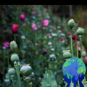 Meet your Posher, Jacobo